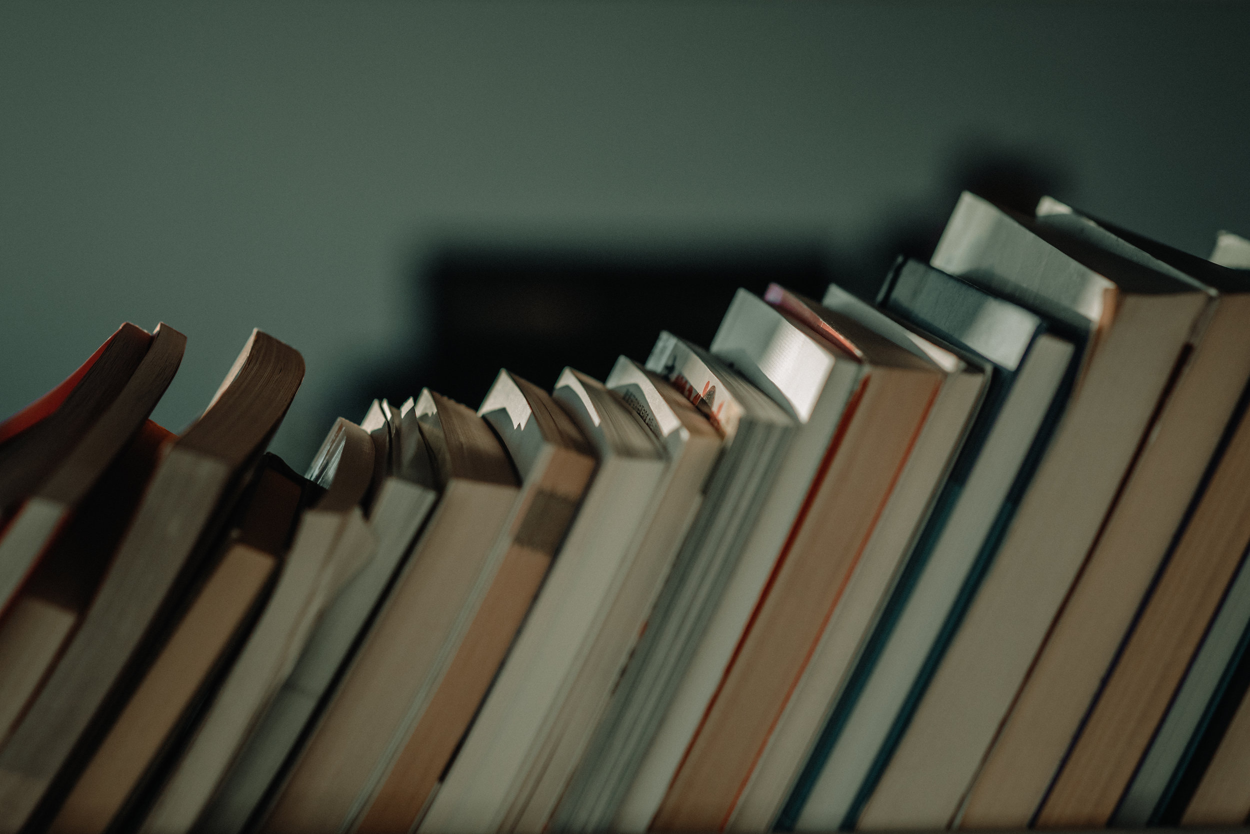 SLP favorite books round-up