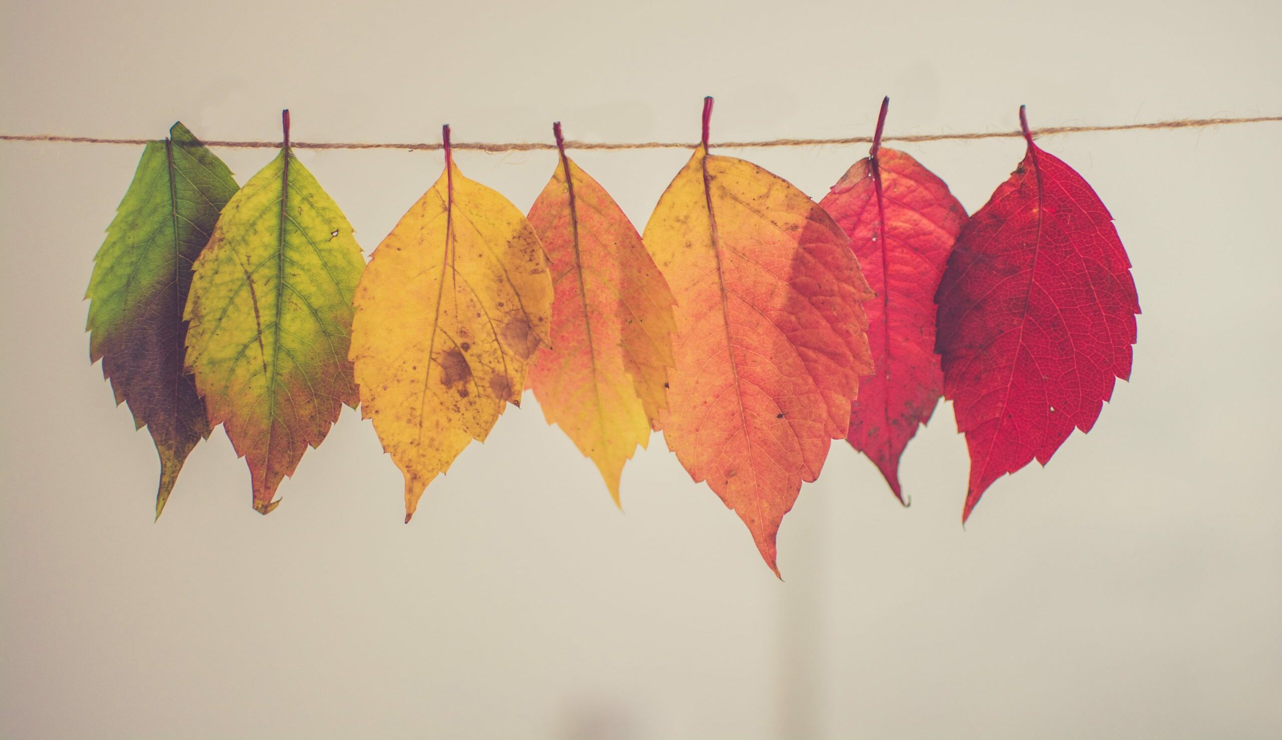 The best blog article ever
