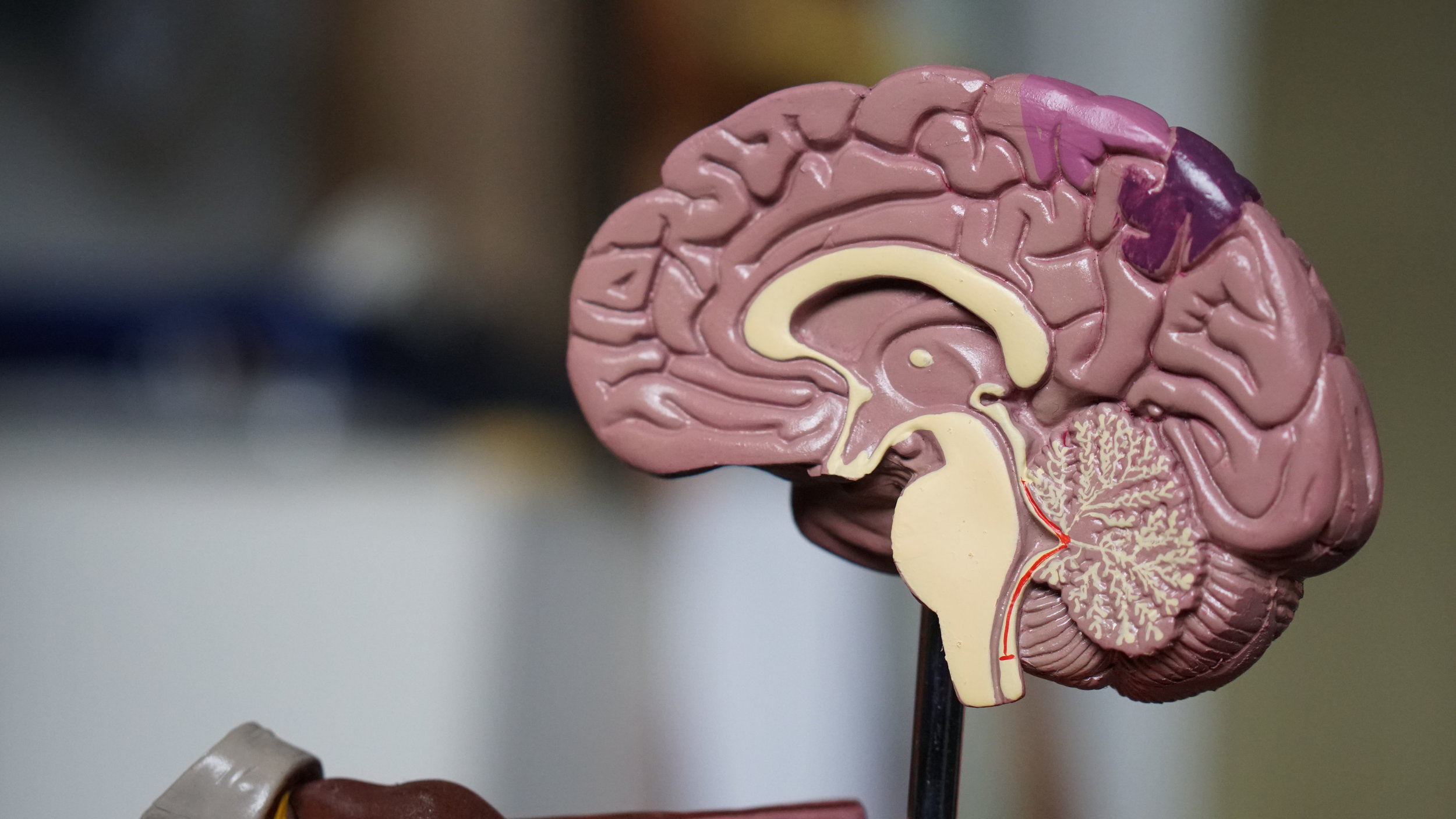 Strokes and Communication – Aphasia