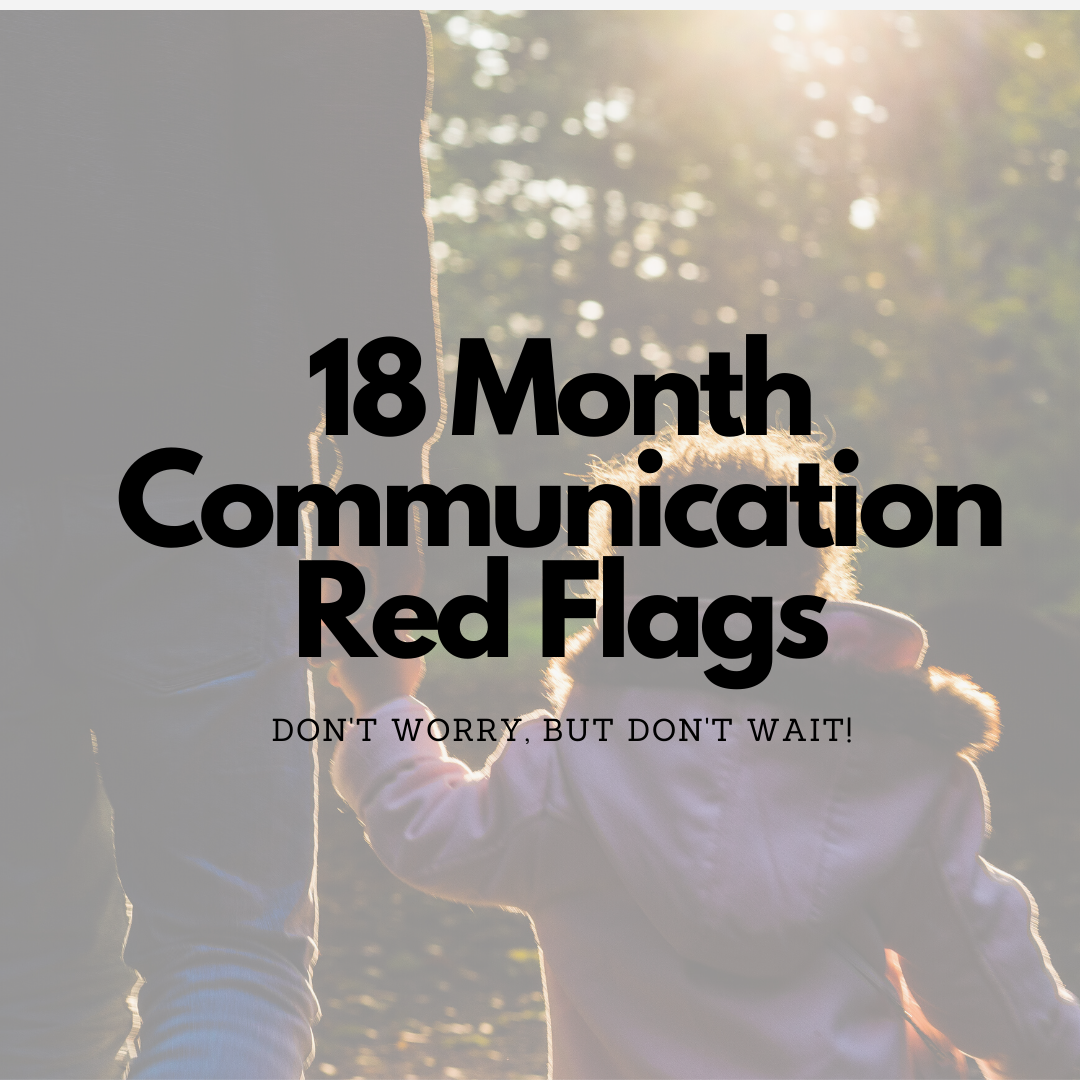 18 month communication red flags – Don’t worry, but don’t wait!