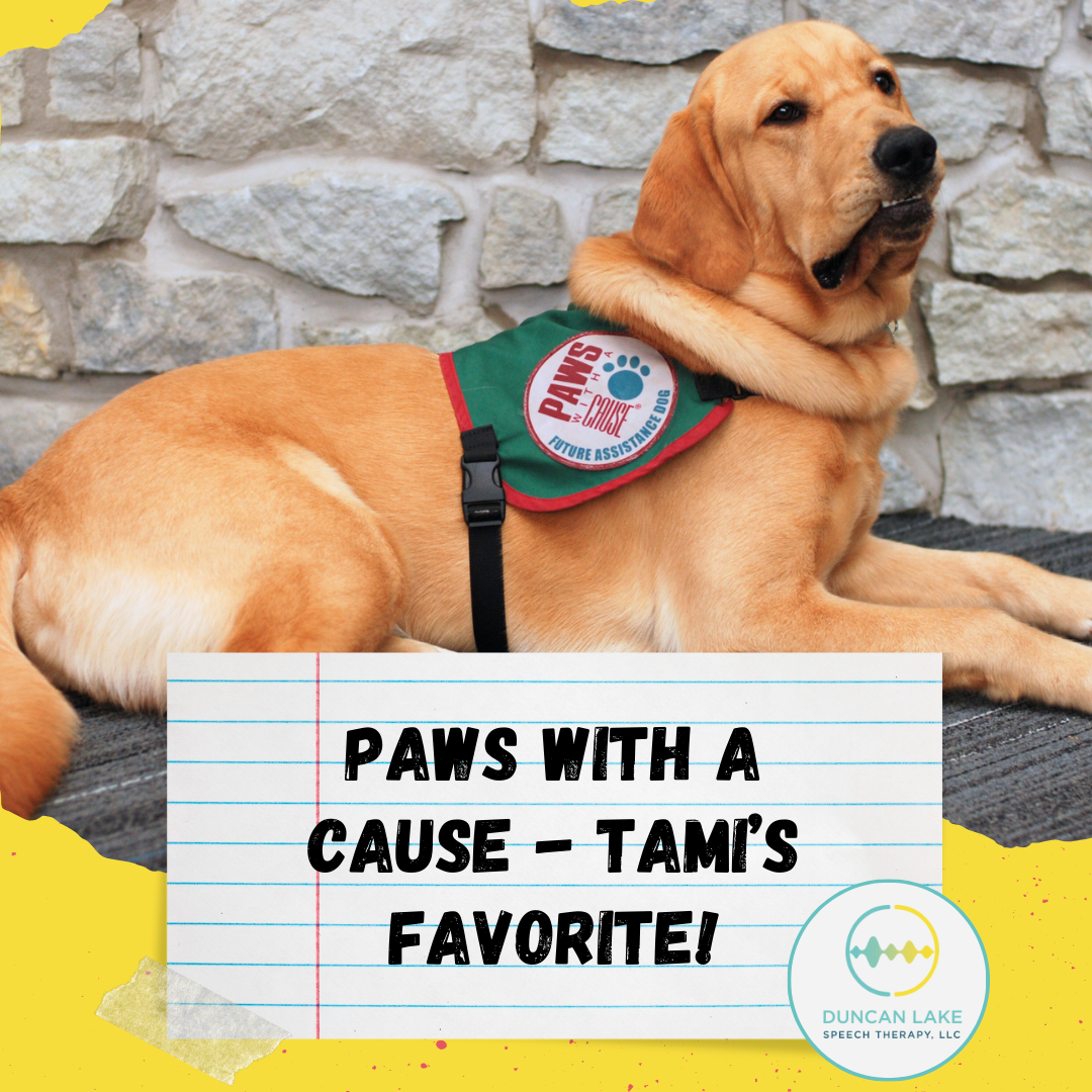 Paws With a Cause service dogs – Tami’s favorite!